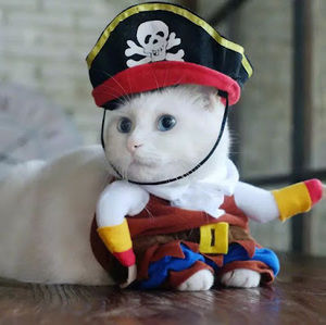 Meet your Posher, Jerry